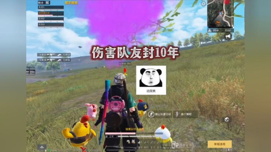 和平精英辅助【快鱼S直装容器版】全图透视 锁死自瞄 人物美化 人物方框 人物射线 人物骨骼